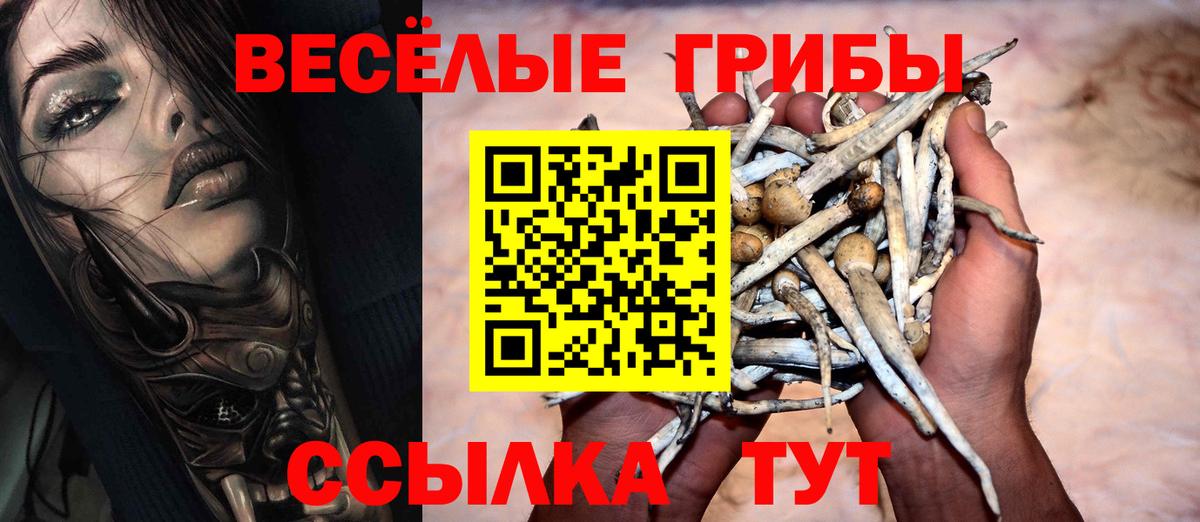 Псилоцибиновые грибы Psilocybe  Вход с VPN  Саров 